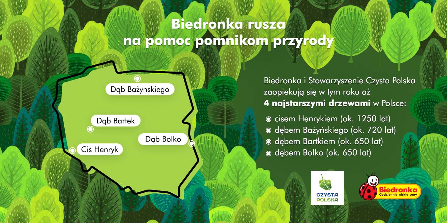 najstarsze drzewa; Stowarzyszenie Czysta Polska; Biedronka